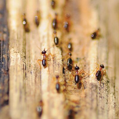 Redline Remodeling Images